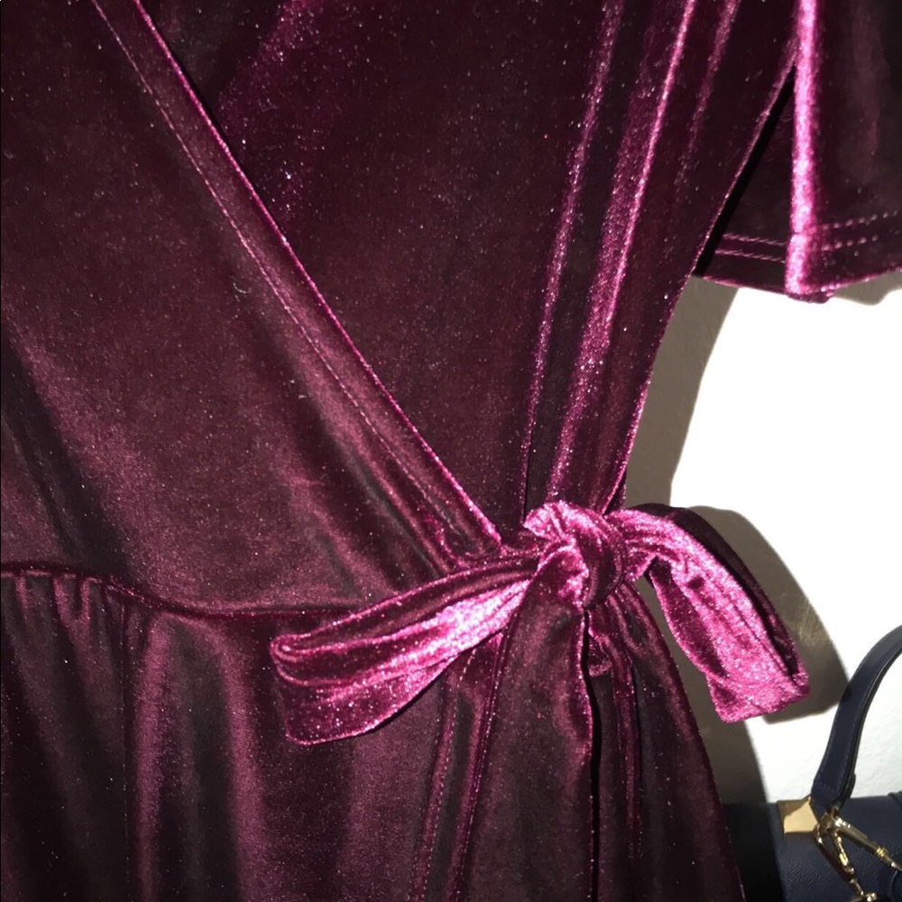 Velvet Dress - Picture 3 of 5